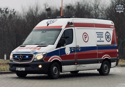 Szczecin. Bracia topili się w zbiorniku. Jeden z nich walczy o życie