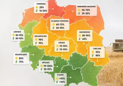 Południe kończy żniwa, północ ugrzęzła przez deszcze. Tak wygląda sytuacja w regionach