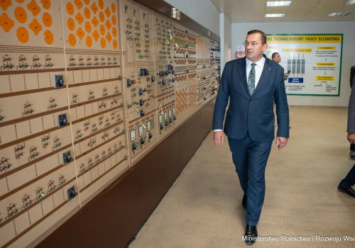 Państwo dorzuca 120 mln zł na skup zbóż. Elewarr ma kupić więcej pszenicy i rzepaku