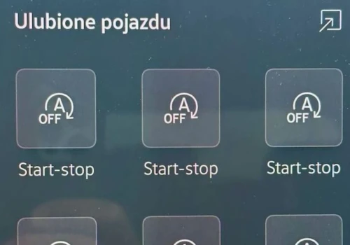Trafiłem na hejtera systemu start-stop. To było negatywne