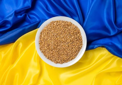 Będą naciski na zniesienie embarga na import zboża z Ukrainy. Czy rząd Tuska się ugnie?