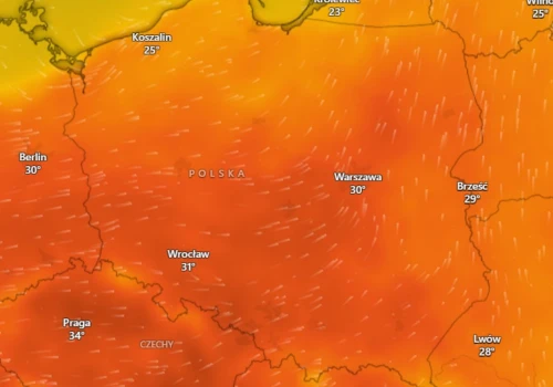 Kiedy wrócą burze? IMGW wydał alerty dla 8 województw. Wiatr osiągnie 115 km/h