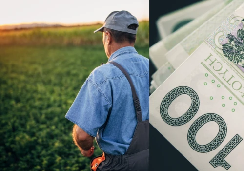 Waloryzacja emerytur KRUS 2027. Tyle mogą wzrosnąć świadczenia rolników
