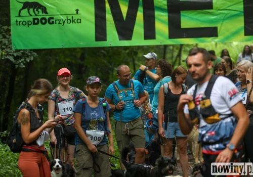 Las, adrenalina i ogony w ruchu. Startuje IX DogTrekking. Zapisy ruszyły