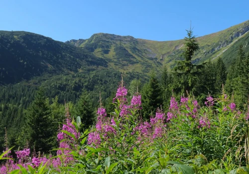 Brytyjska dziennikarka odwiedziła Tatry. Nie mogła wyjść z podziwu. 