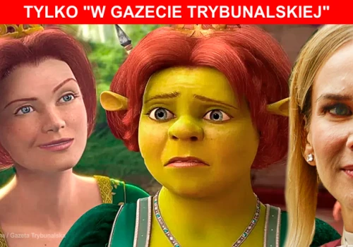 A Shrek gdzie? „Gazeta Trybunalska” dotarła do aktu oskarżenia przeciwko Wojciechowi Ś.