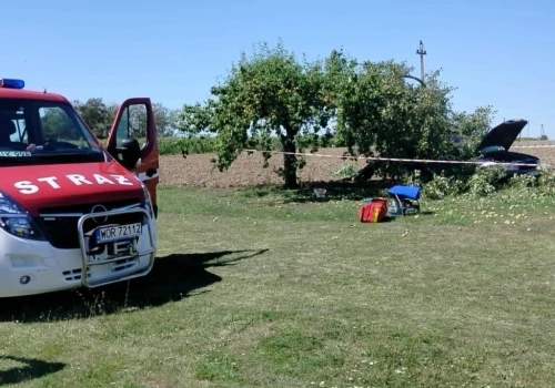 Śmiertelny wypadek na posesji. 47-latek uderzył w drzewo. Mężczyzna zginął na miejscu