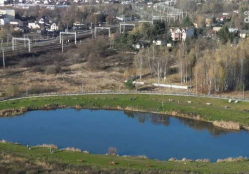 Nowe nasadzenia przy stawie na Godowie. Miasto ma już plan
