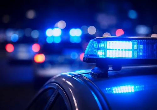 Groził maczetą i przedmiotem przypominającym rewolwer. 45-latek z zarzutami