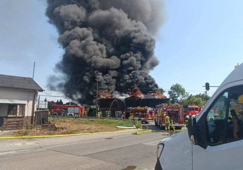 Pożar pustostanu w Topoli Królewskiej