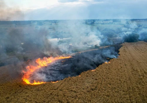 Pali się w Gminie Lądek. Pięć zastępów straży w akcji.