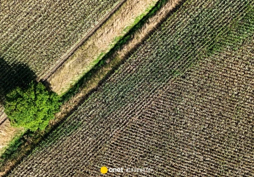 Upalne lato w Europie niweczy wzrost gospodarczy. Alarmujący raport