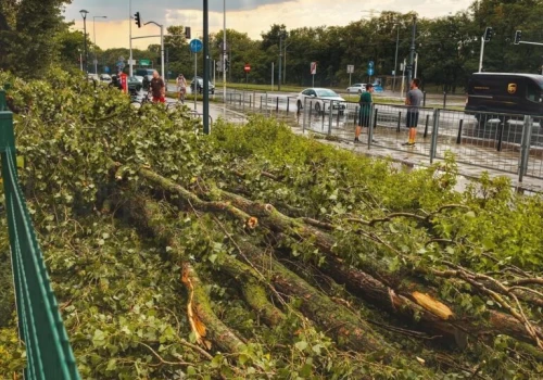 Gwałtowna burza nad Warszawą. Powalone drzewa, uszkodzone auta i dach budynku