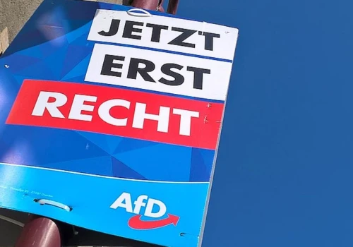 AfD wyrównuje rekordowe poparcie