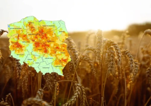 Susza pogłębia się. Najnowszy raport SMSR nie pozostawia najmniejszych złudzeń
