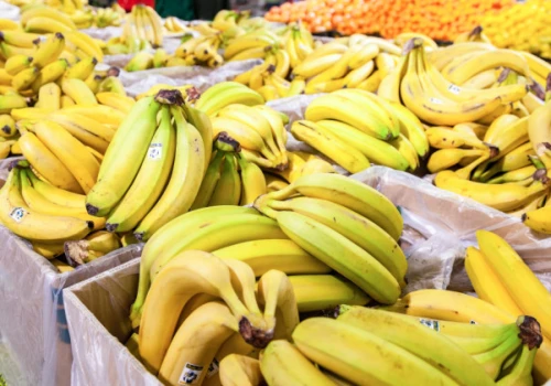Kryjówka pająków czy naturalna część owoców? Poznaj prawdę o bananach