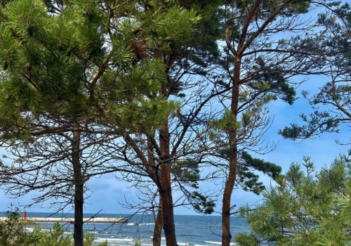 Spokojny wypoczynek nad Bałtykiem. Tu trafisz nawet na pustą plażę