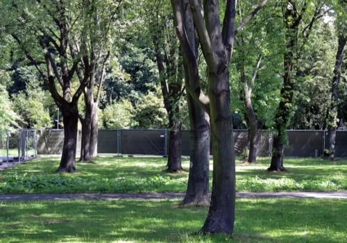 Dzień dobry Katowice. Duża inwestycja w Parku Śląskim oficjalnie zakończona