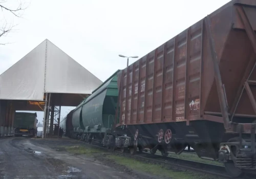 Jak rząd chce zabezpieczyć rolników przed tranzytem zbóż z Ukrainy?