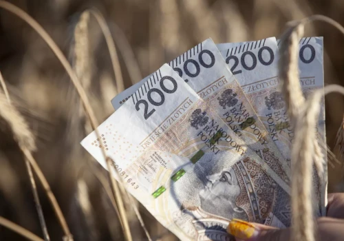 Nawet 10 mln zł na przetwórstwo. Rusza nabór wniosków: rolnicy i firmy mogą skorzystać z dotacji