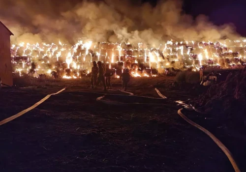 Spłonęło 200 bel słomy. Ferma kaczek stoi na granicy przetrwania