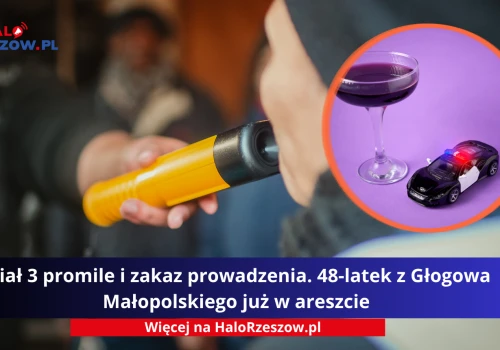 Miał 3 promile i zakaz prowadzenia. 48-latek z Głogowa Małopolskiego już w areszcie