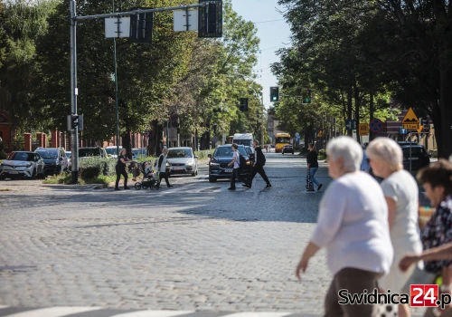 Może ruszać przebudowa kolejnych odcinków Alei Niepodległości. Prace pochłoną blisko 13 mln zł