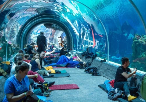 Długi weekend pod namiotem w Orientarium ZOO Łódź – przeżyj wyjątkową noc już 14 sierpnia!