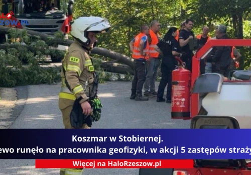 Koszmar w Stobiernej. Drzewo runęło na pracownika geofizyki, w akcji 5 zastępów straży