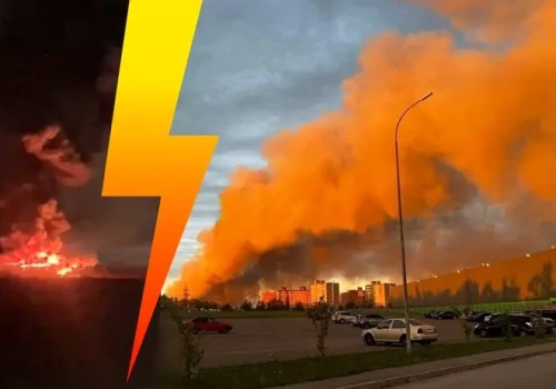 Ognista szarańcza spadła na kolejne miasta! (WIDEO)