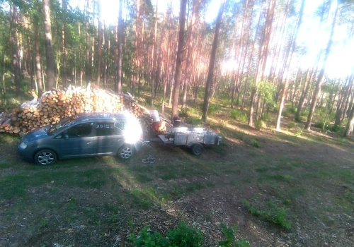 Seria kradzieży w prywatnym lesie. Właściciel zastawił pułapkę na złodziei