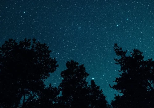 Noc Perseidów w Legnicy - fotografowanie i obserwacja spadających gwiazd z Centrum Witelona