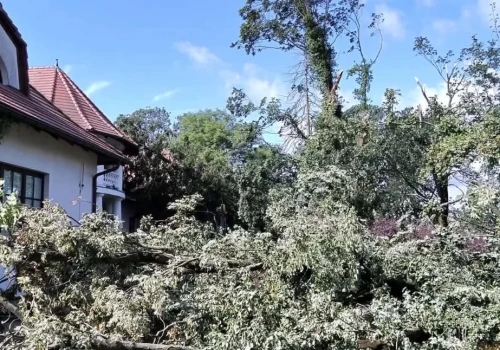 Ucierpiała połowa drzewostanu Muzeum Romantyzmu w Opinogórze. Szkody są ogromne