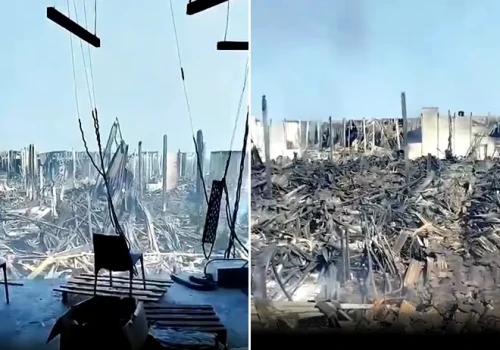 Strach podejść! Pierwszy raz pokazali z bliska (WIDEO)