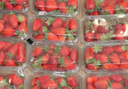 Sprzedaż żywności generuje coraz więcej plastiku. Zawodzą niewłaściwe systemy recyklingu