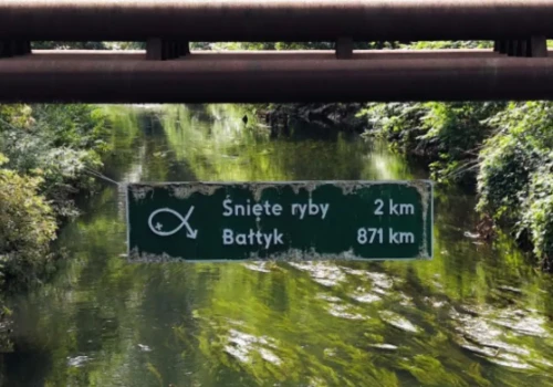Tajemnicze tablice na Śląsku. 