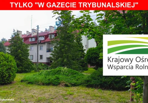 Akademia Piotrkowska liczyła miliony. KOWR policzył ponad 1,7 miliona do zapłaty