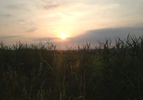 Wkrótce zaćmienie Słońca i noc Perseidów