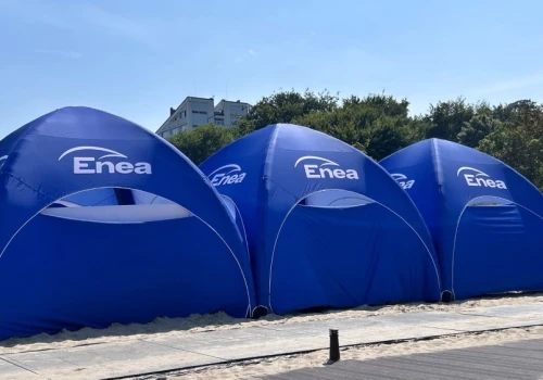 Rząd reorganizuje polskiego giganta. Enea przechodzi metamorfozę