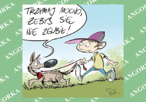 Pies w lesie bez smyczy? To może skończyć się tragicznie