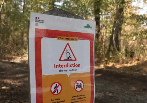 Fontainebleau miesiąc po katastrofalnym pożarze ciągle w zasadzie zamknięte
