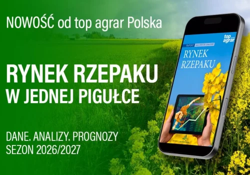 Co dalej z cenami rzepaku? Najnowszy raport pokazuje, co czeka rolników w sezonie 2026/27
