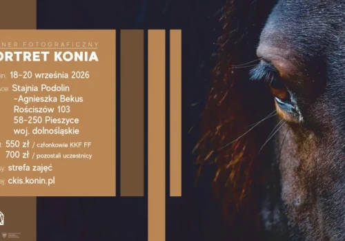 Plener fotograficzny PORTRET KONIA