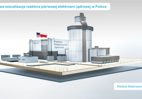 Polska wykorzysta Bałtyk. Europejskie rzeki nie wystarczają do chłodzenia reaktorów