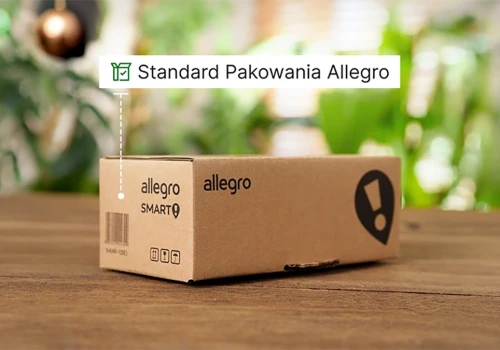 Nowe oznaczenia na Allegro. Co oznacza zielone pudełko przy ofertach?