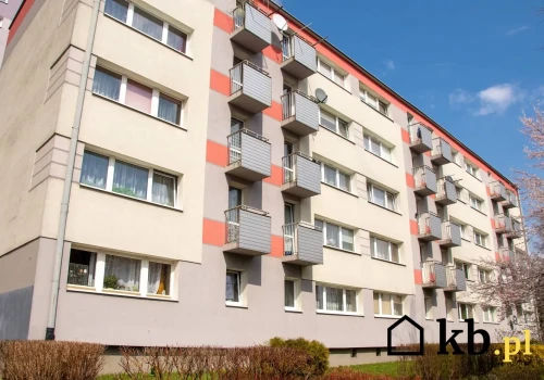 Wychował się w bloku z wielkiej płyty i chciał z niego uciec. Po latach sam kupił tam mieszkanie