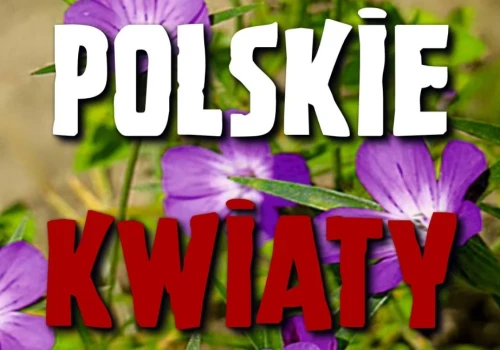 Cała Warszawska zaśpiewa żołnierzom. Przed nami koncert 