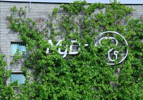 MyDr padł ofiarą cyberataku. Firma podaje szczegóły