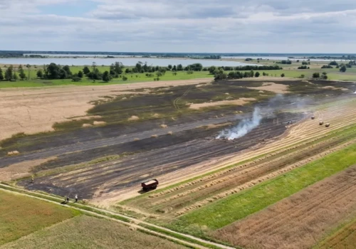 Groźny pożar podczas żniw pod Turkiem. Spłonęła prasa i około 6 hektarów pola