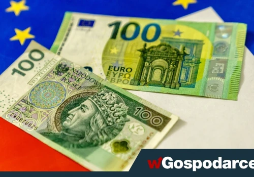 Cel Tuska: przez katastrofę finansów do narzucenia euro?